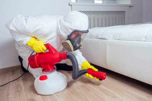 Best Flea Control Services  in Neosho, MO