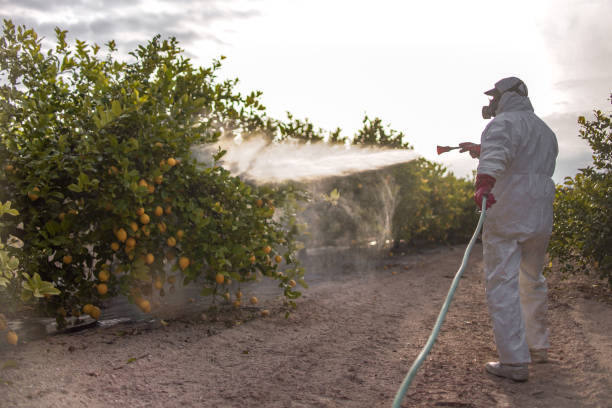 Best Best Pest Control Companies  in Neosho, MO