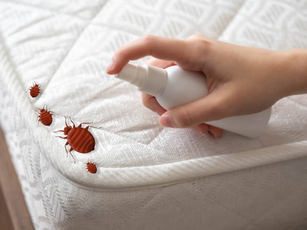 Best Residential Pest Control  in Neosho, MO